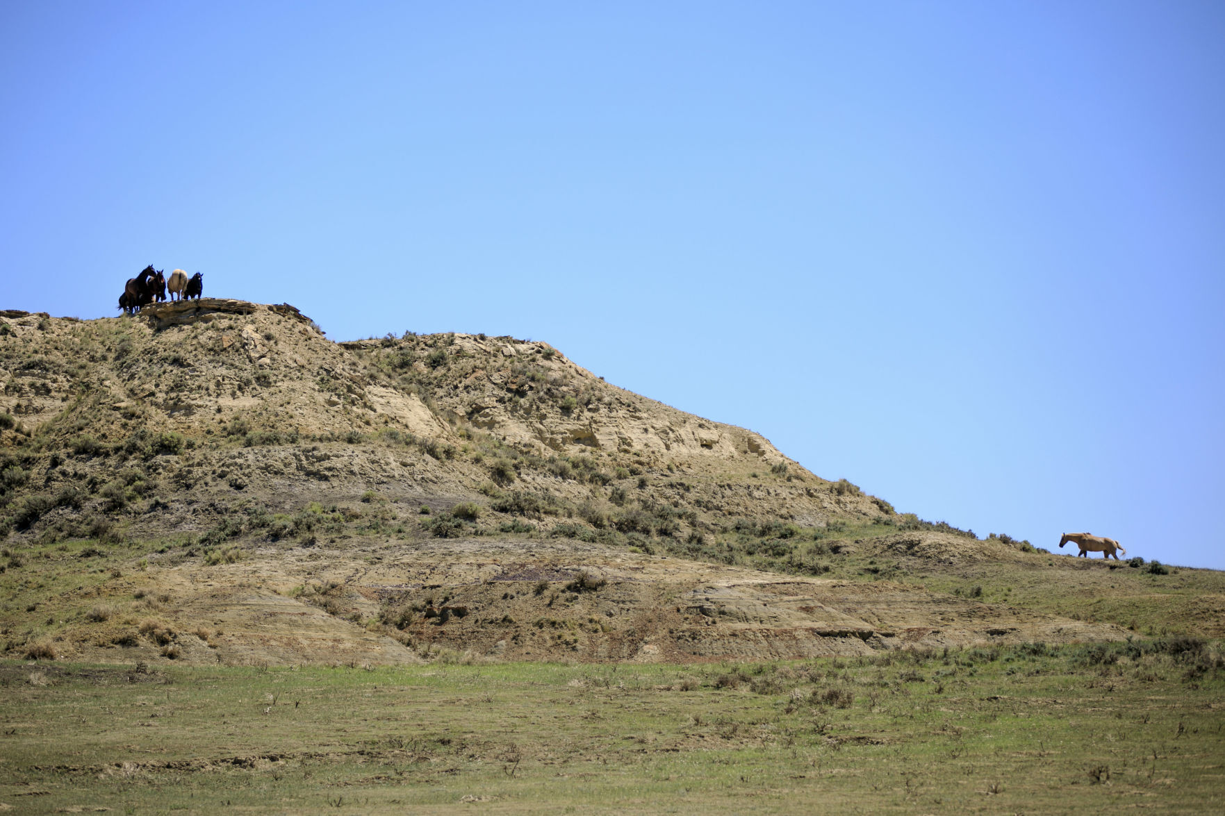 Hell Creek State Park